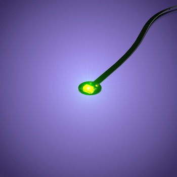 LMB 2.0 Version - Astro LED mit 30 cm Kabel, GRÜN (4er Pack)