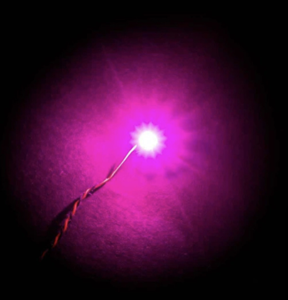 4x PINKE LED mit 30 cm Verbindungskabel