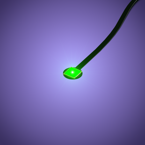 LMB 2.0 Version - Astro LARGE LED mit 15cm Kabel, GRÜN (4er Pack)