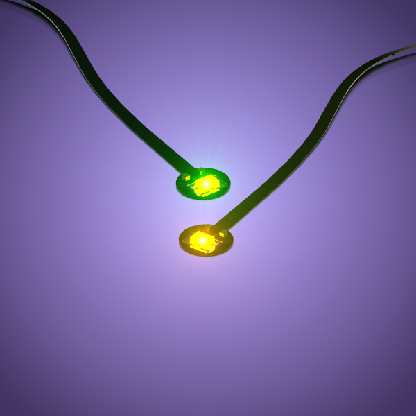 LMB 2.0 Version - weiße Astro REGULAR-​​LED mit 30cm Kabel, GRÜN auf ORANGE wechselnd (2er Pack)